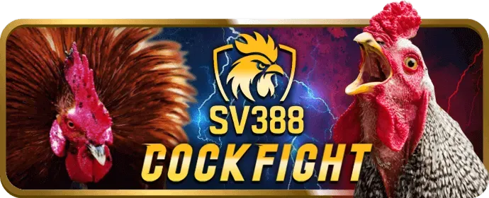 Điền thông tin đăng ký HJ88